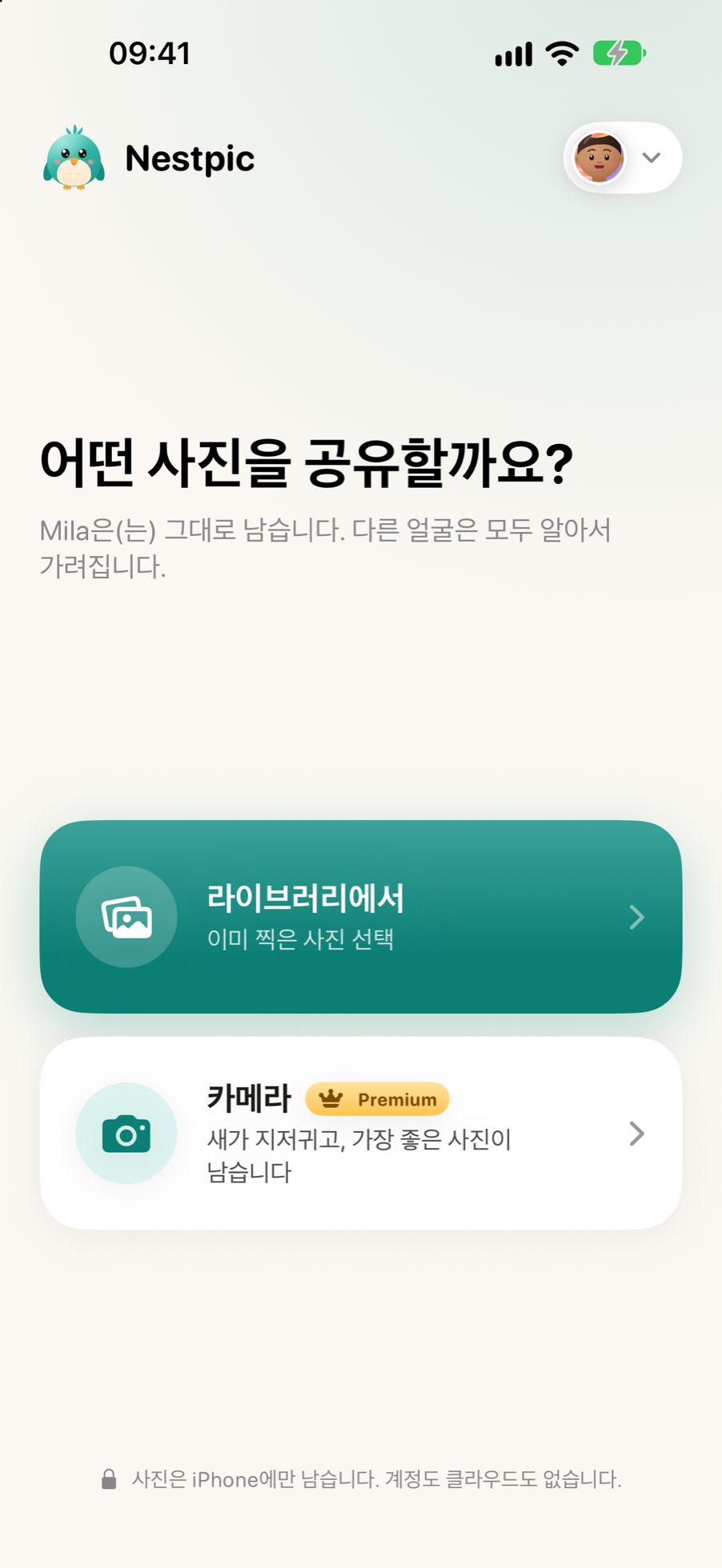 Nestpic에서 사진을 고르는 화면