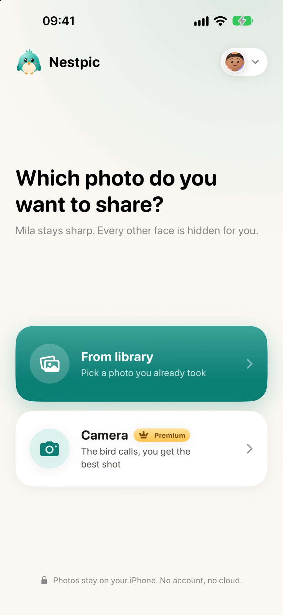 Choosing a photo in Nestpic